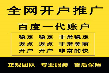 百度SEO推广案例解析与效果评估