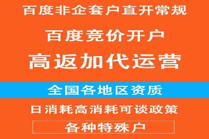 网络营销实战：案例分享竞价推广的秘诀